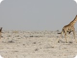Namibia Discovery-0268